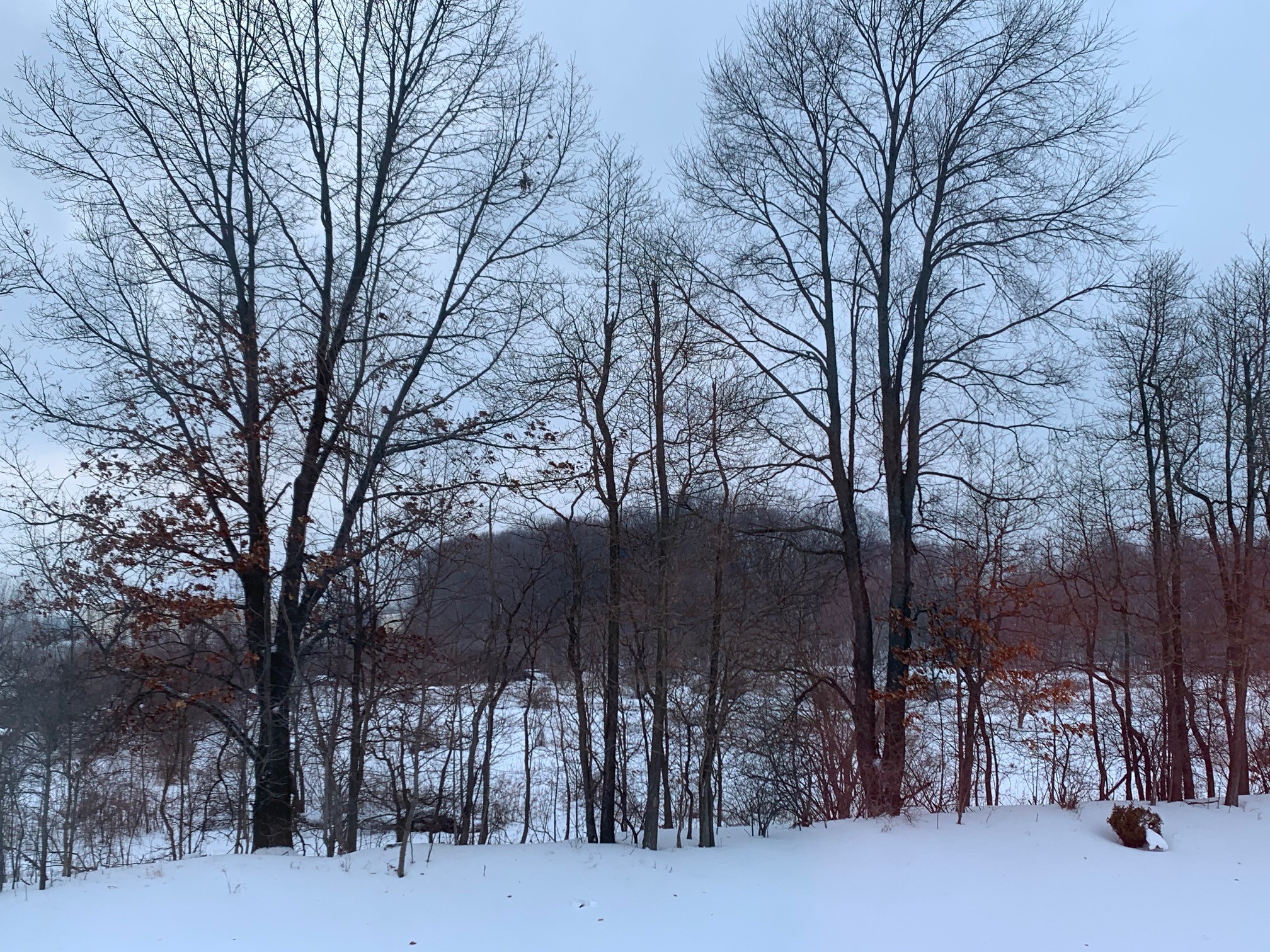 WINTER LANDSCAPE.jpg