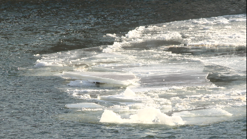 Ice in grand River