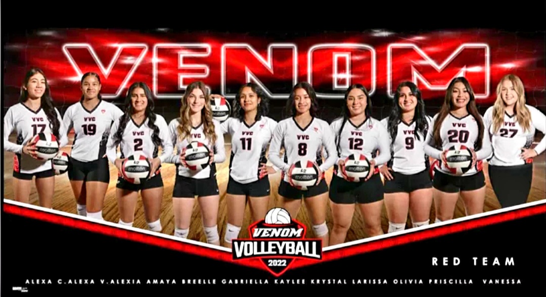 Venom Volleyball 