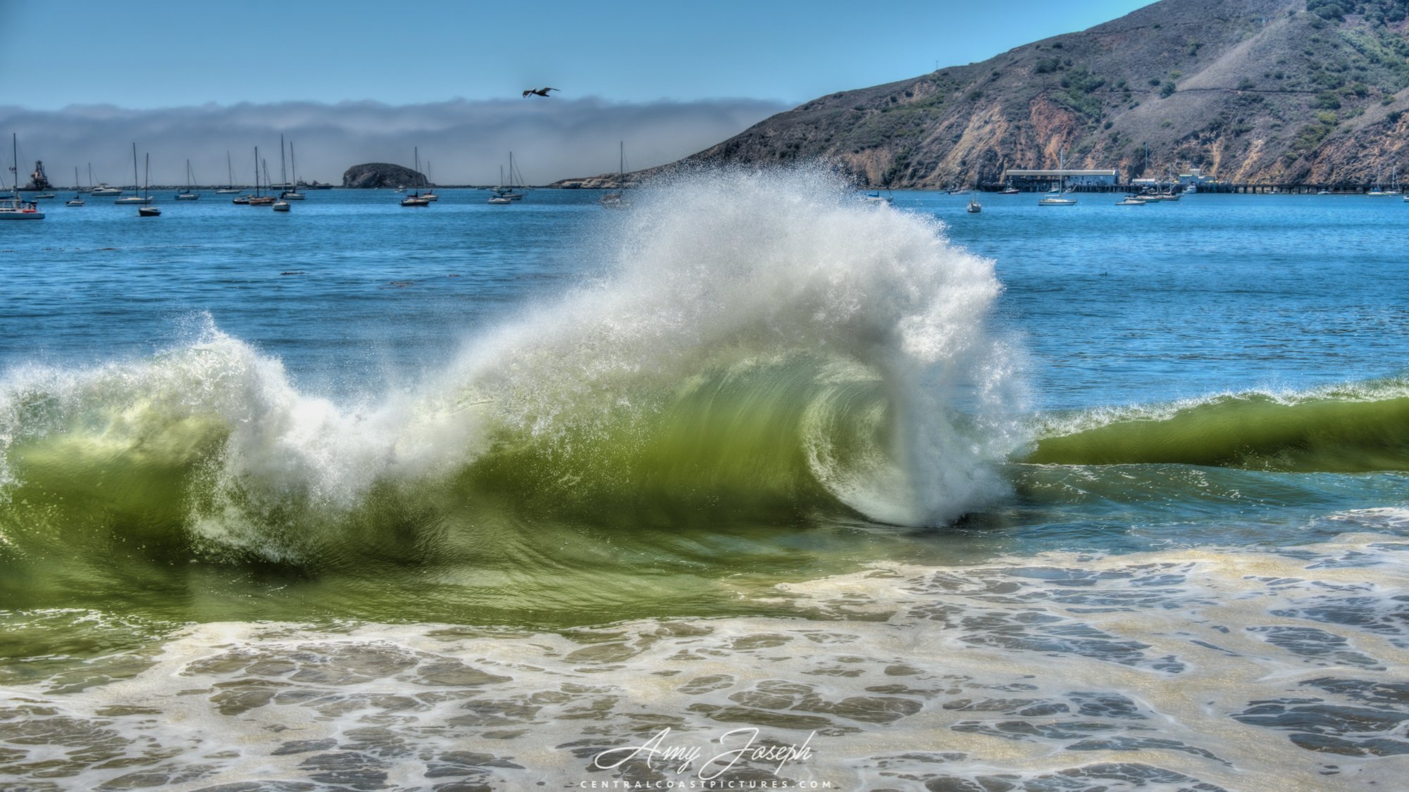Waves on Avila Beach