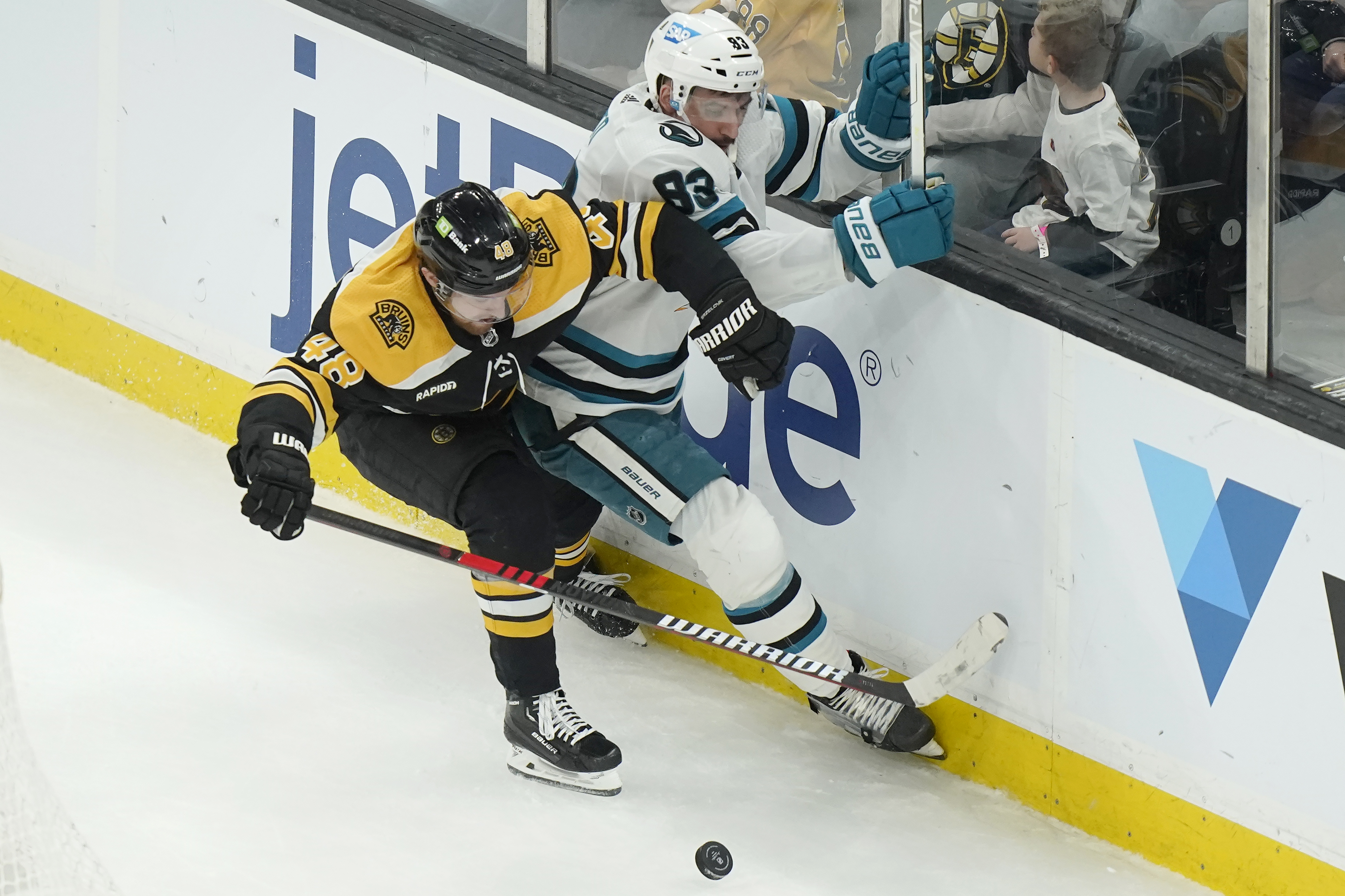Sharks Bruins Hockey