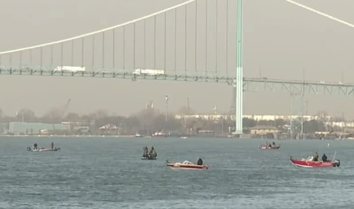 Walleye run Detroit river 2023