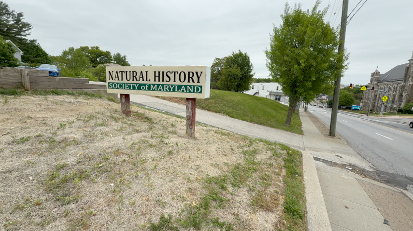 Natural History Society