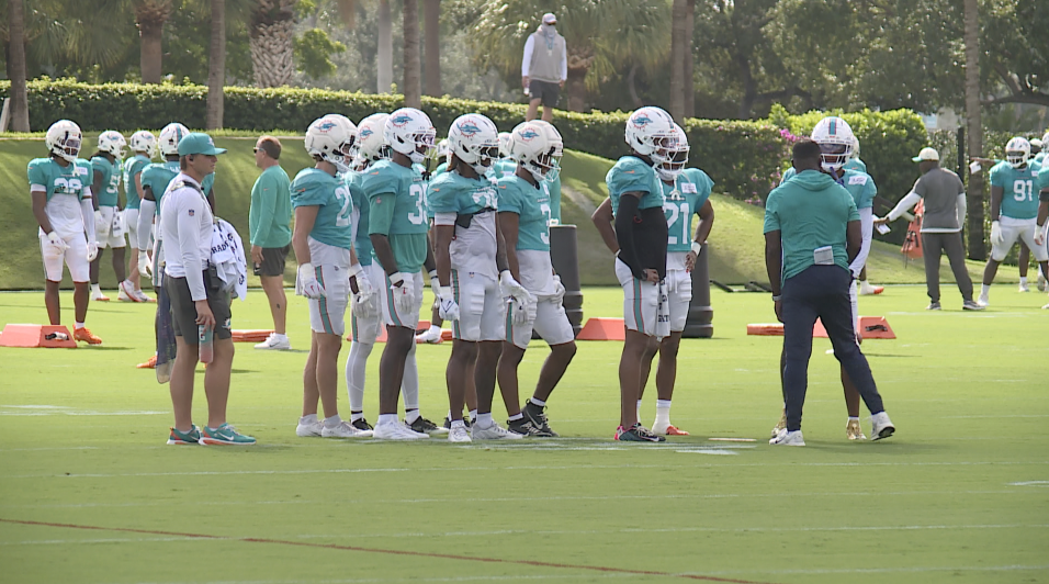 Dolphins Training Camp