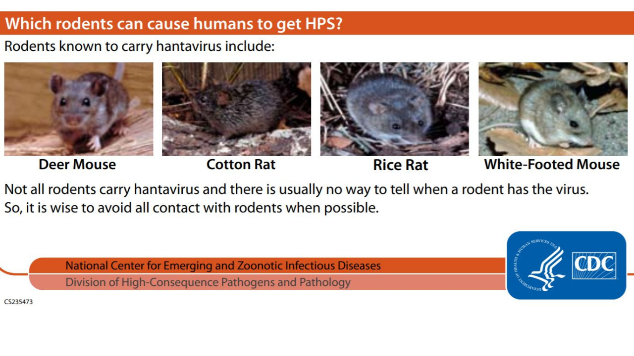 Hantavirus info from CDC