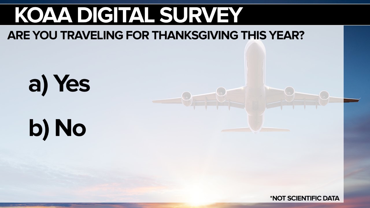 Thanksgiving Travel Survey