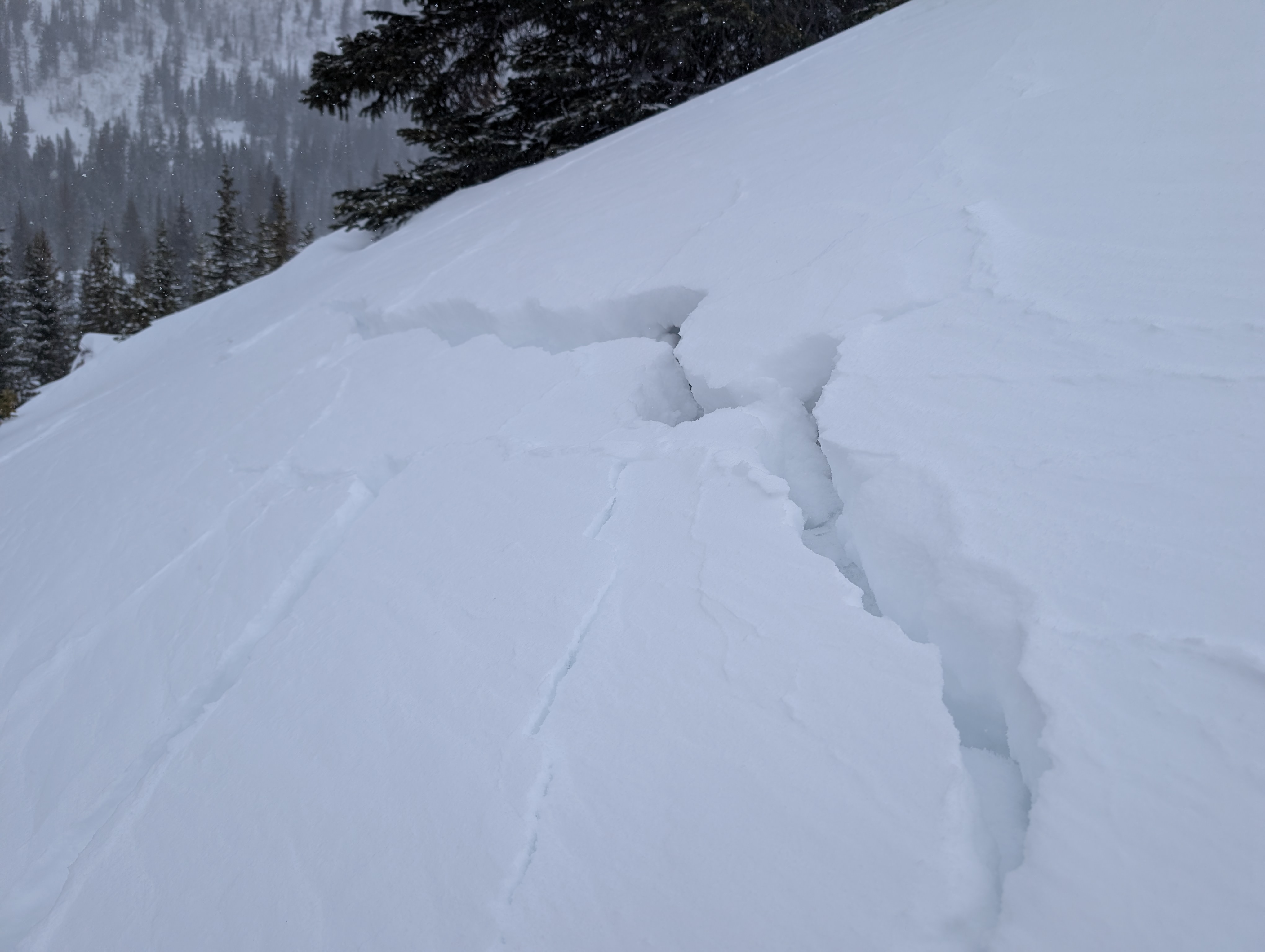 An avalanche in the Gunnison area on Feb. 17, 2026