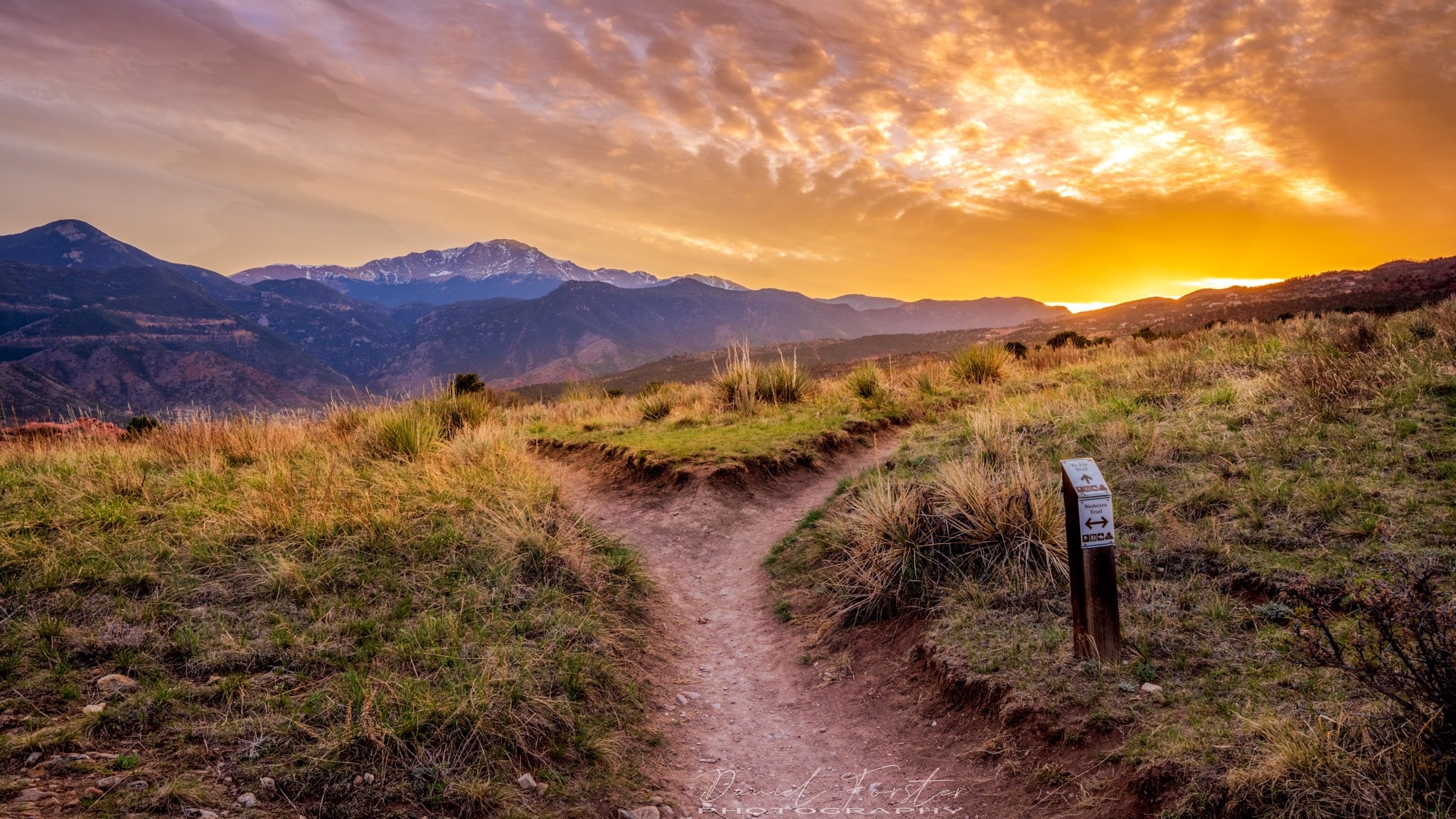 GOG sunset Daniel Forster