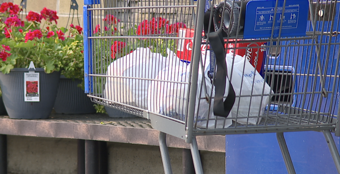 anne arundel plastic bag.png