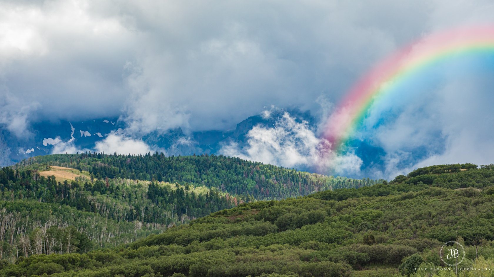 June Blooms Photography Dallas Divide Colorado