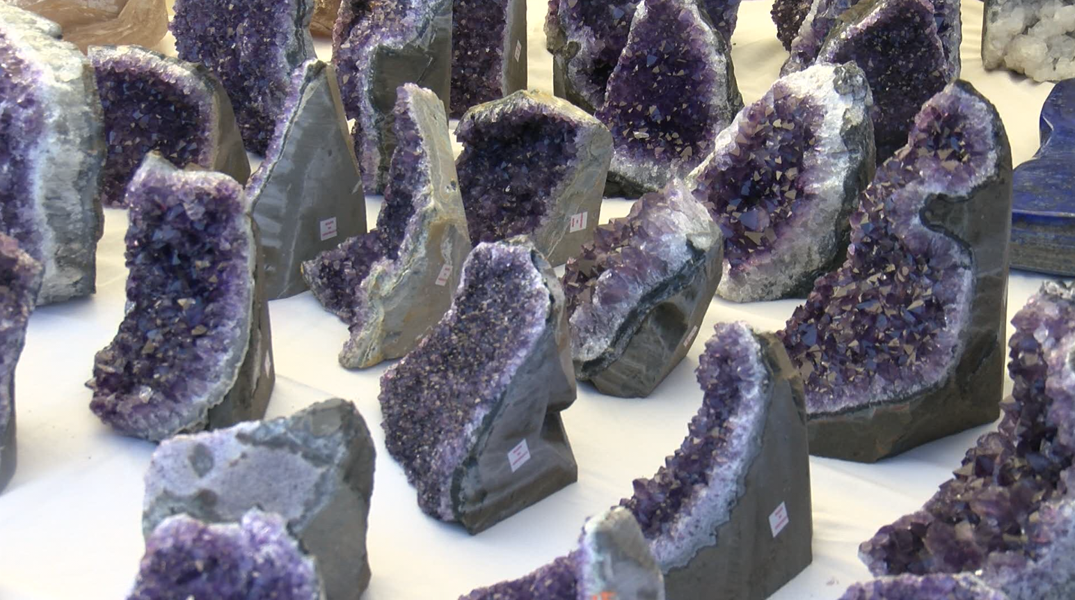 rock and gem show.png