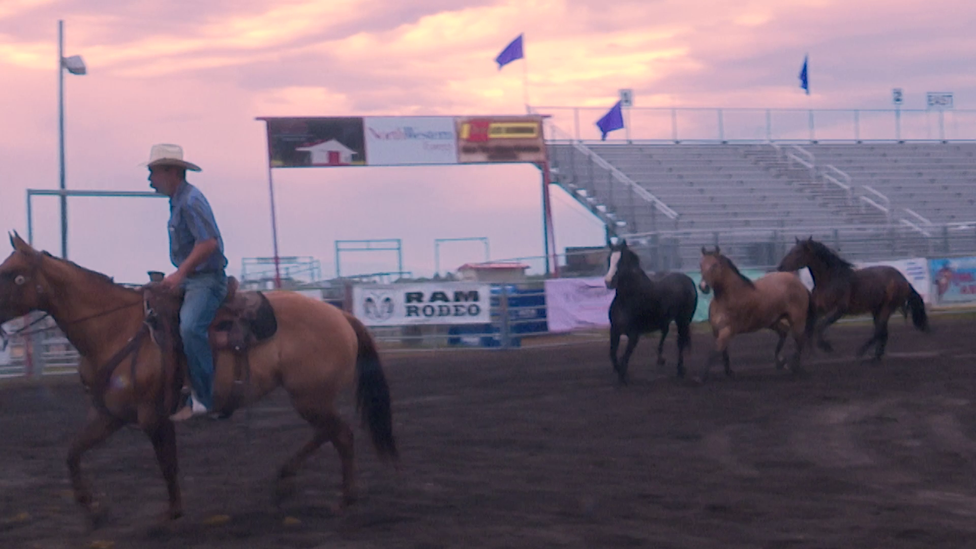 Broncs and bulls from C5 Rodeo power Last Chance Stampede