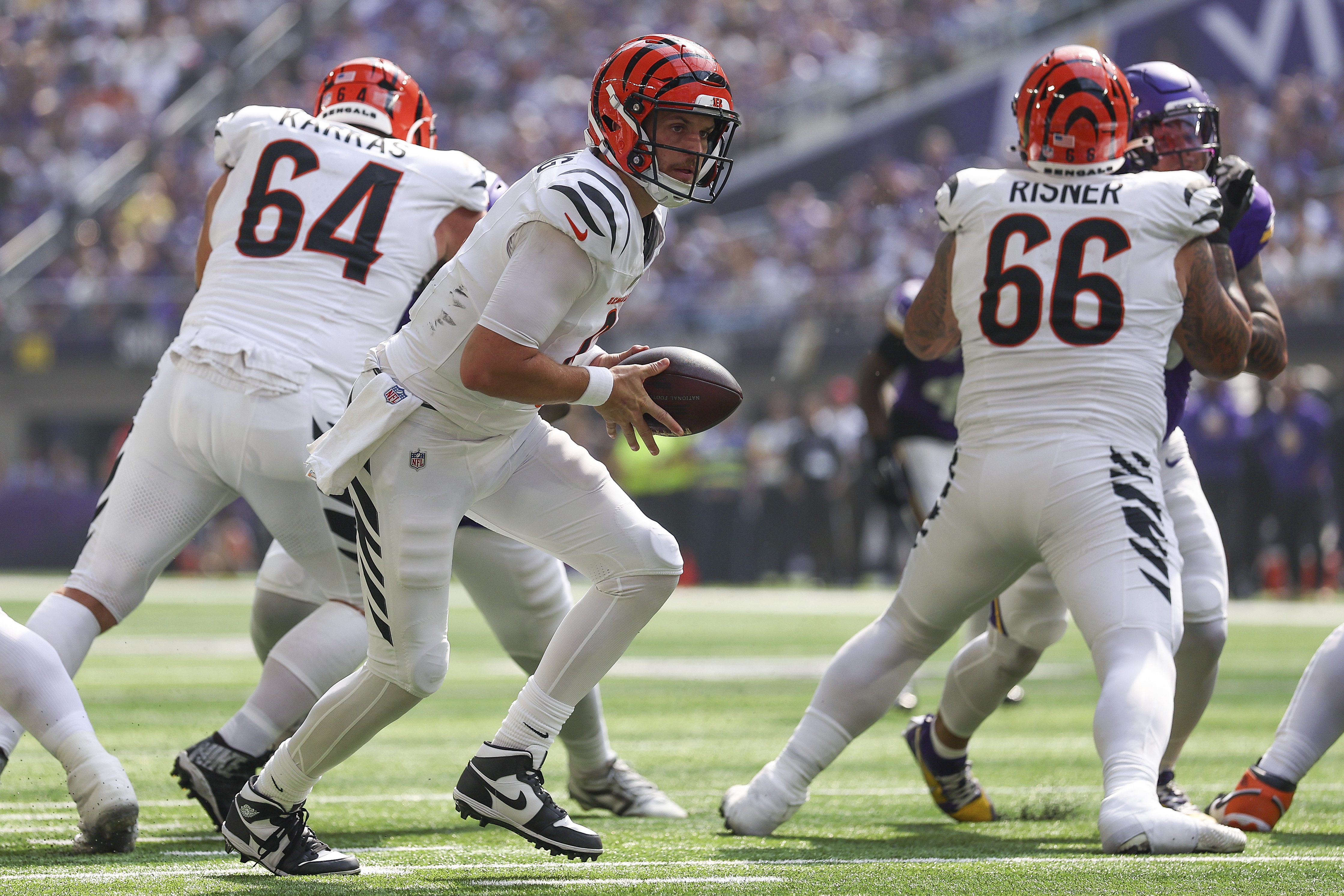 Bengals Vikings Football 