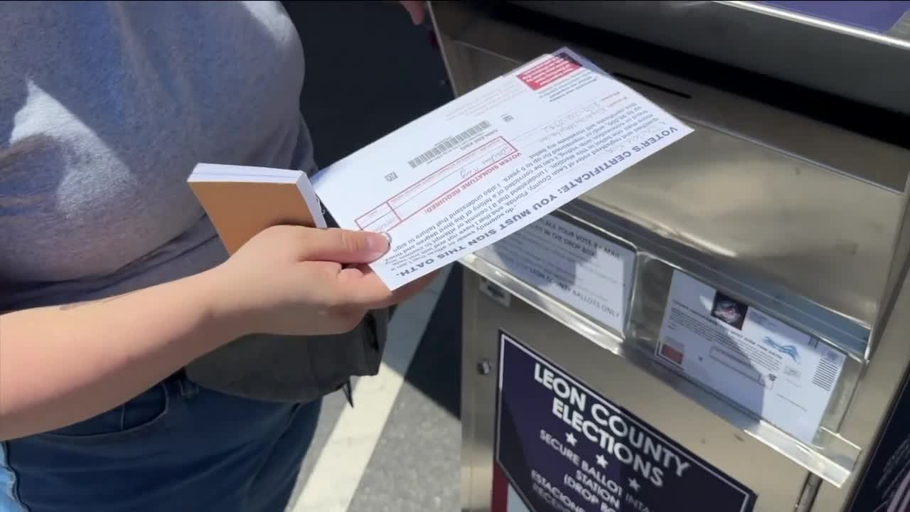 Florida voter