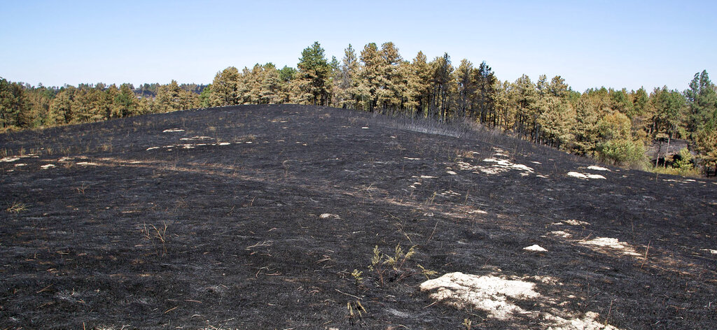 Wildfires