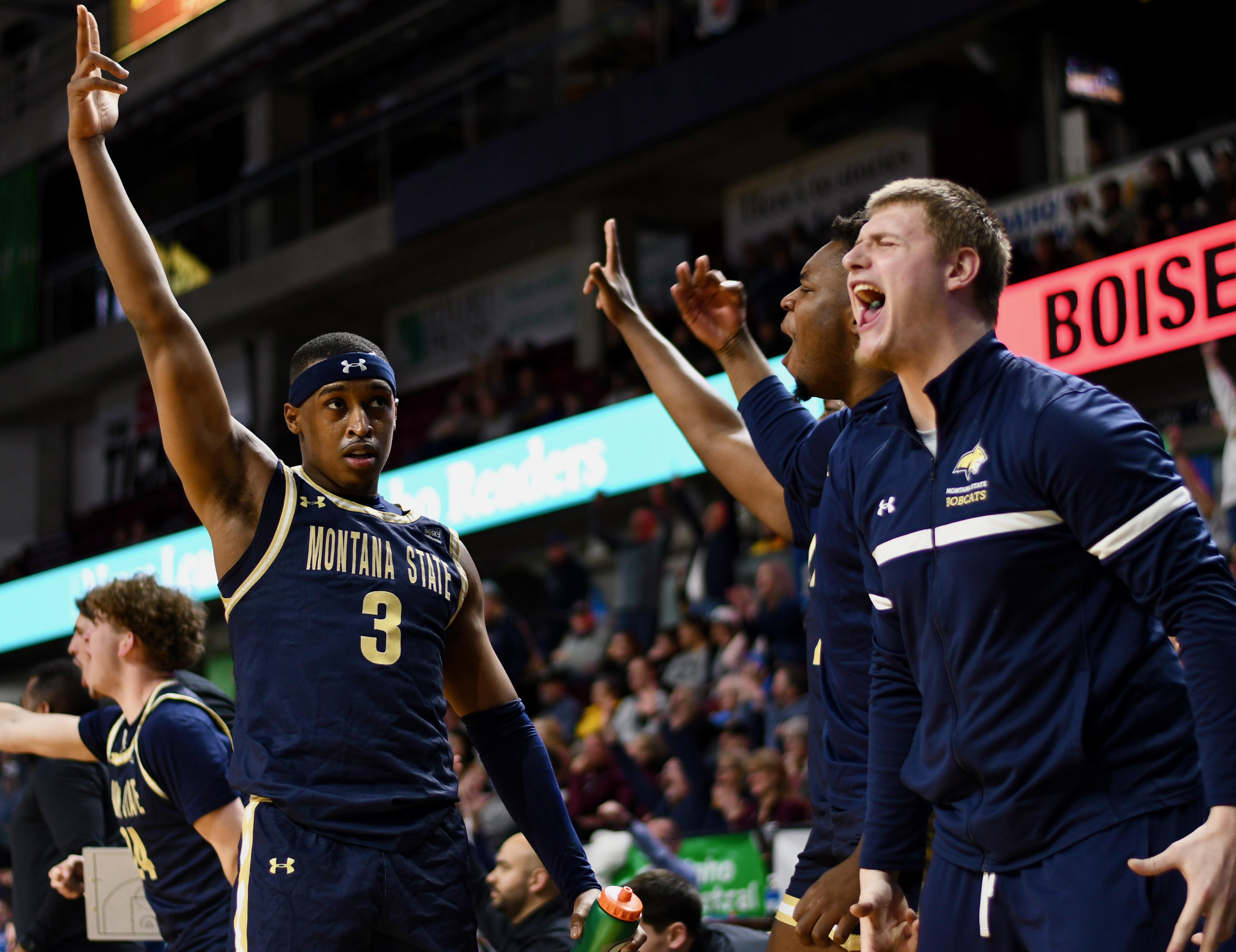 Montana State men's basketball
