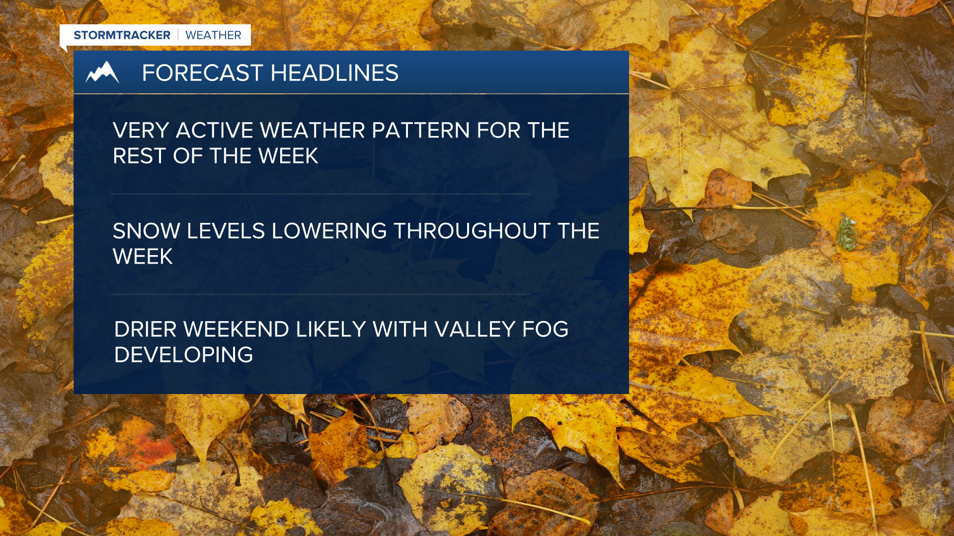Wx Headlines