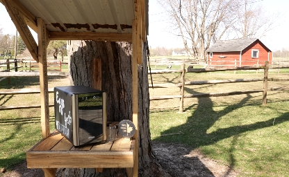 Maple Darling Farms, farm stand