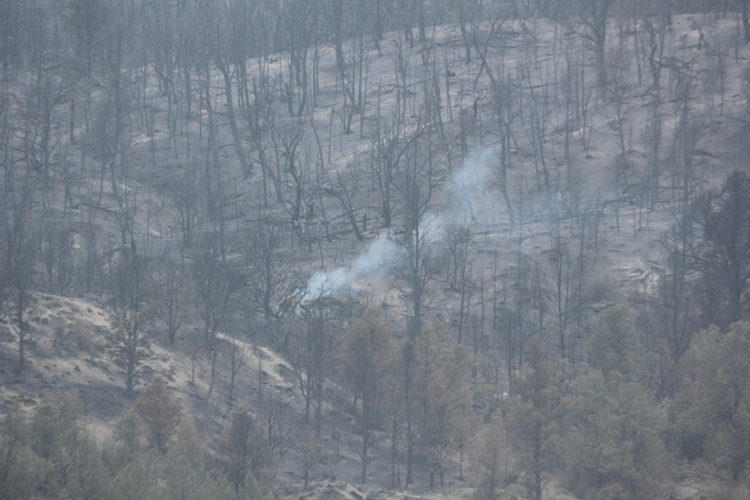 pinegulchfire-sat822.jpeg