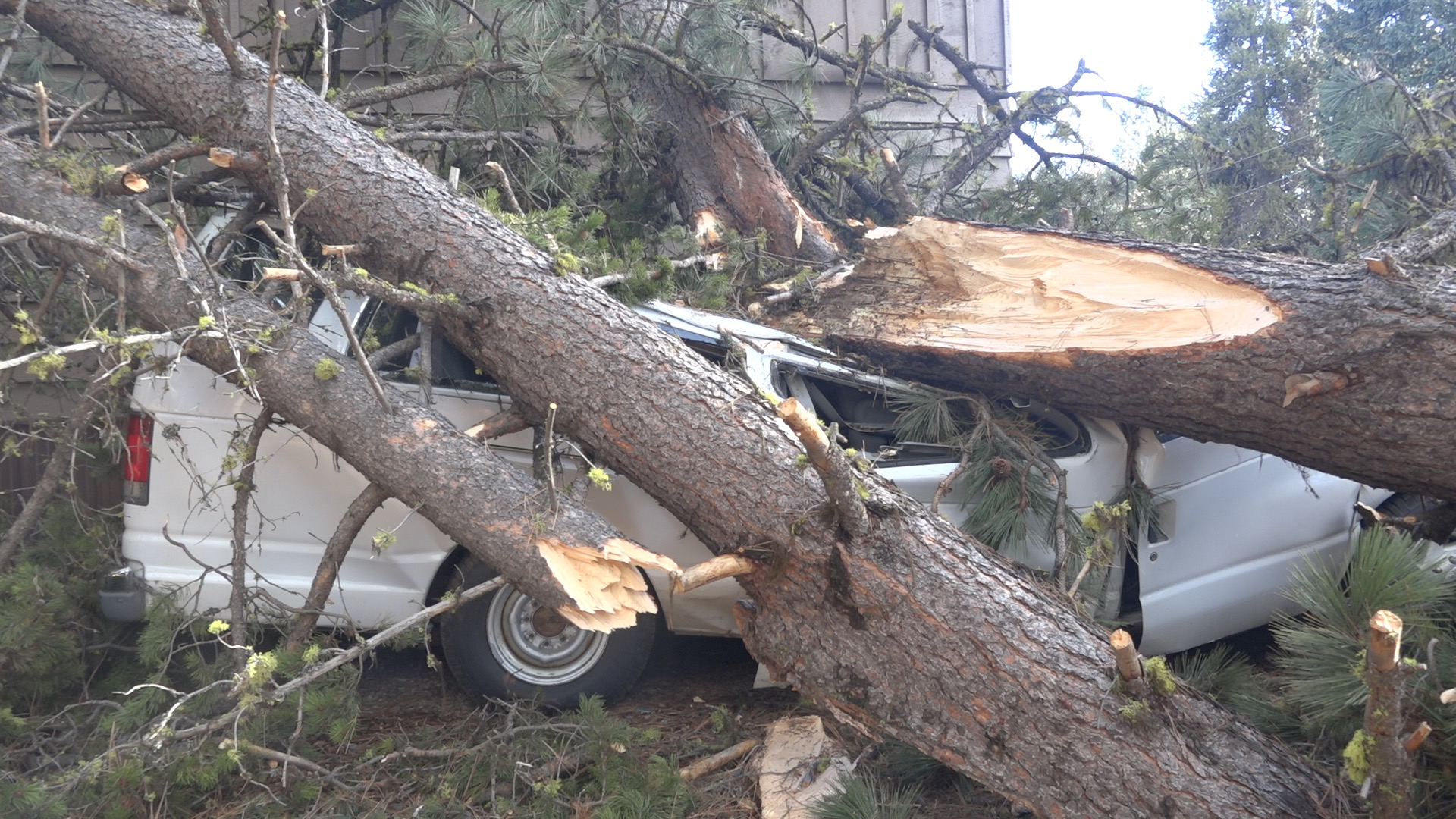 Valley County Damage