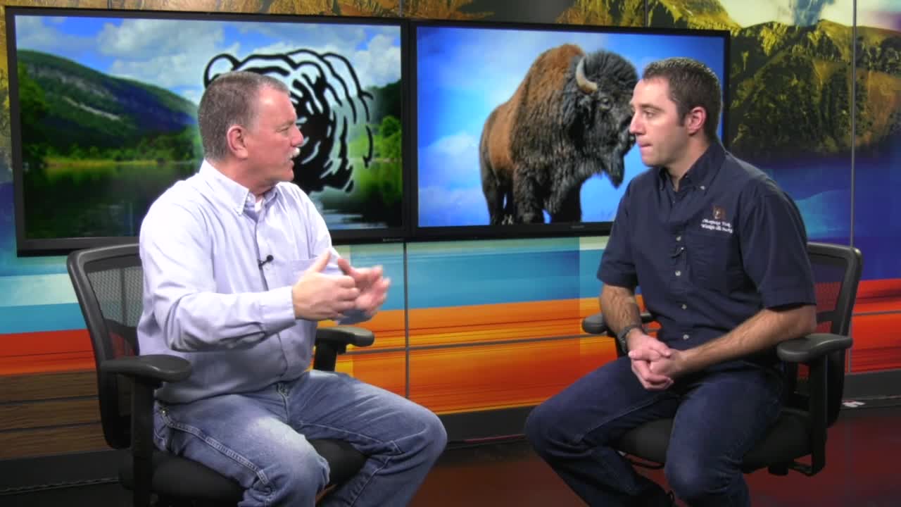 Poster image (6).jpg