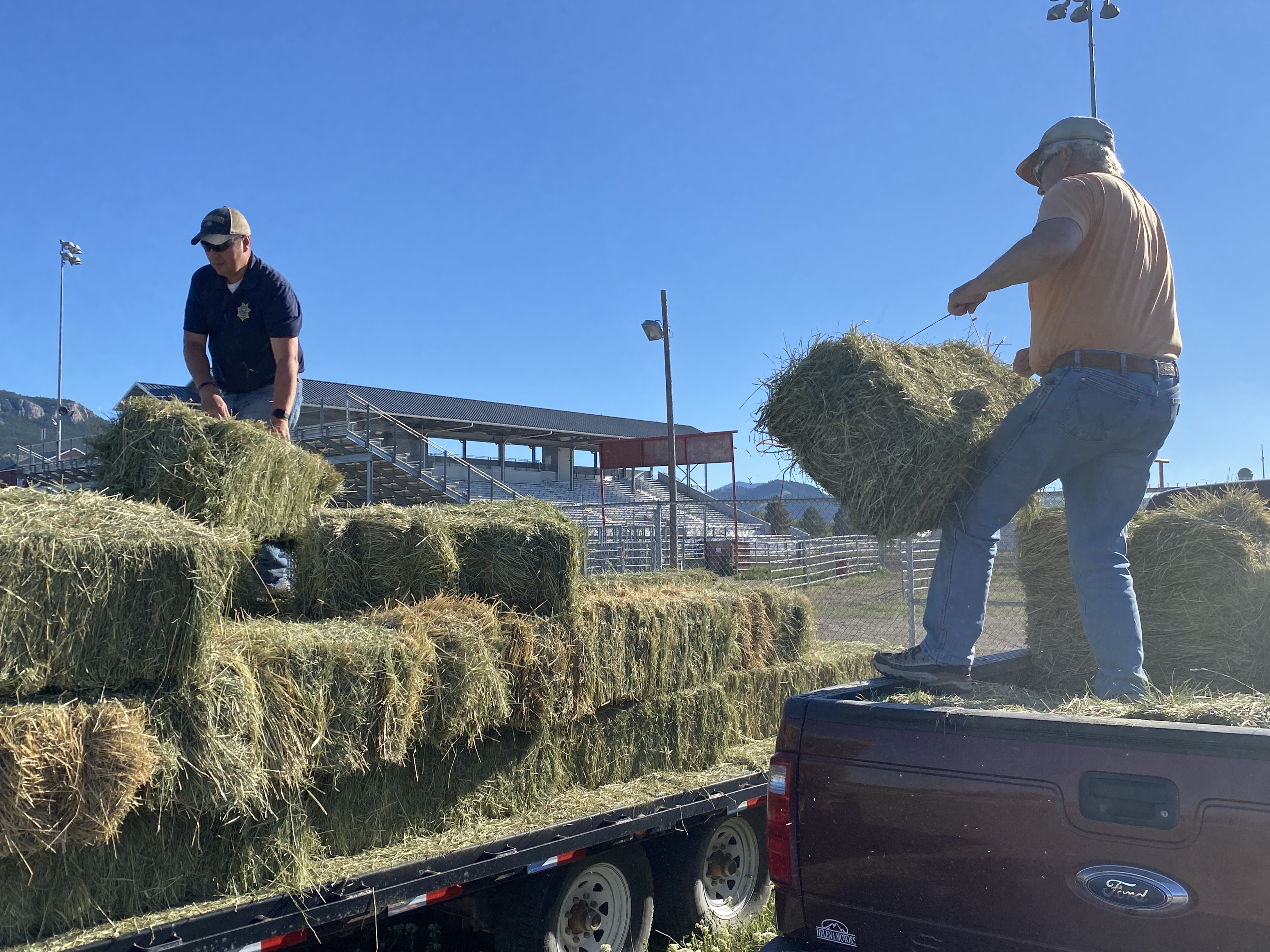 Horse Hay Donation