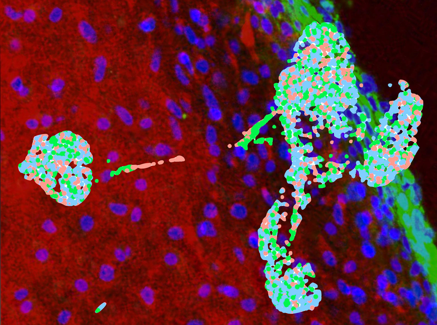 UM Cells Transitioning Research