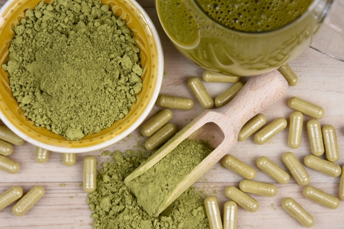 Kratom Mitragyna speciosa powder.