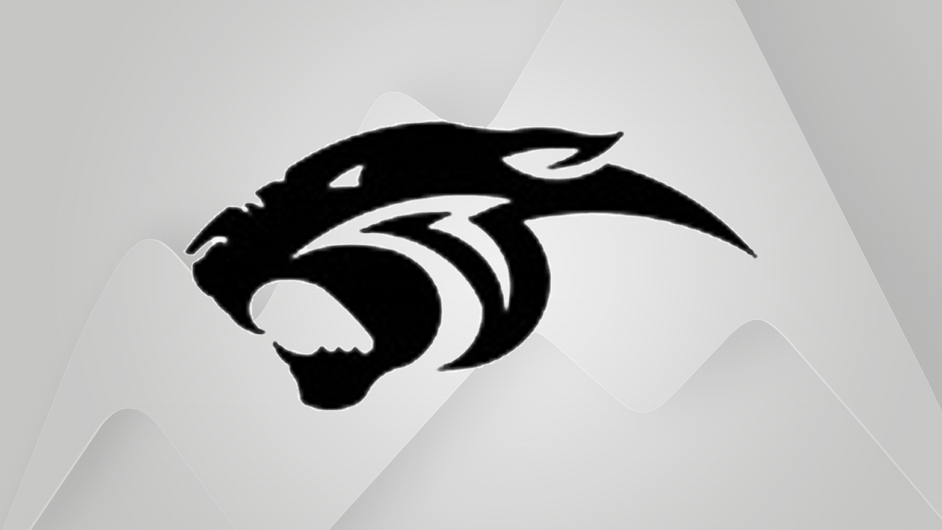 Belgrade Panthers