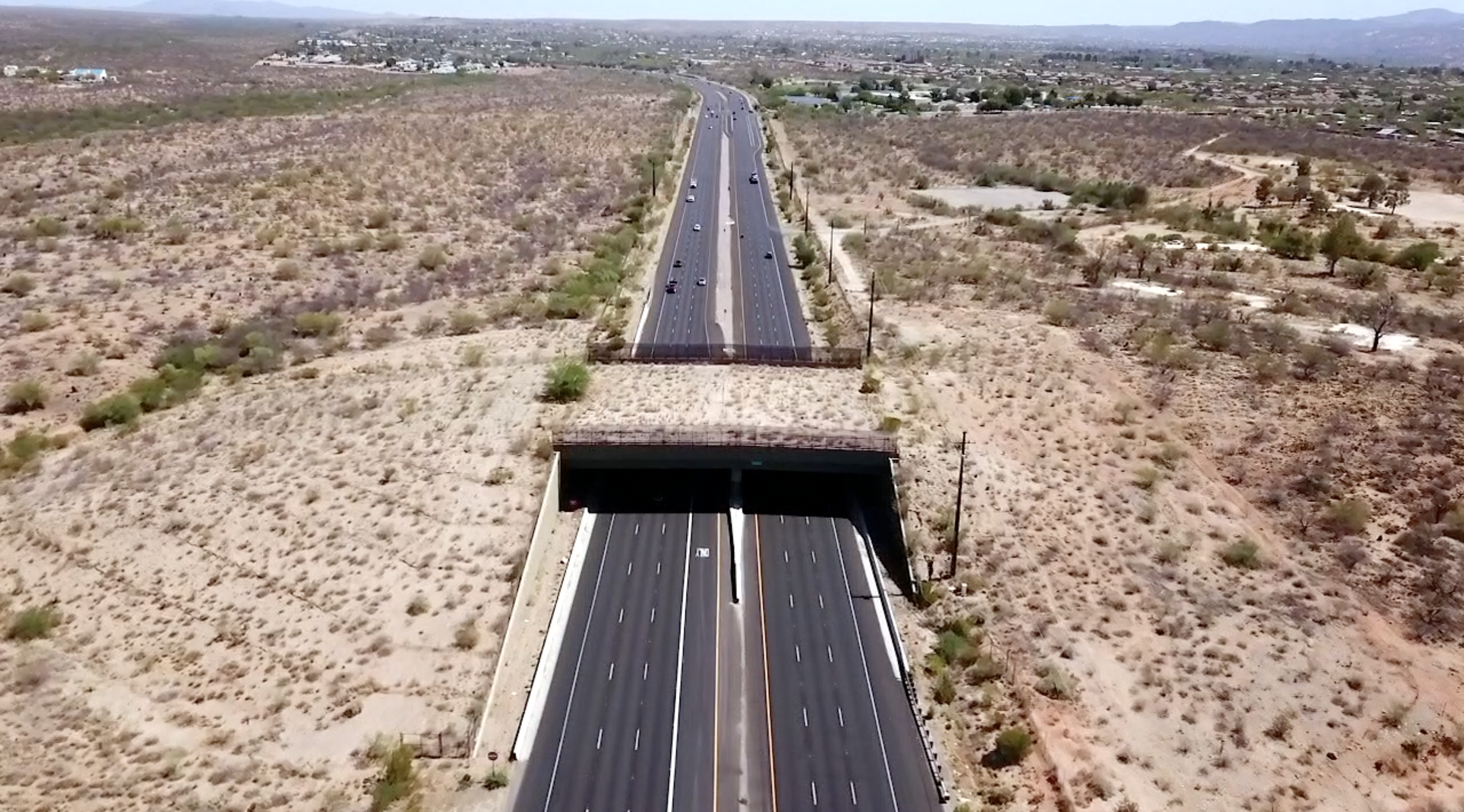 Ann Day Memorial Wildlife Bridge