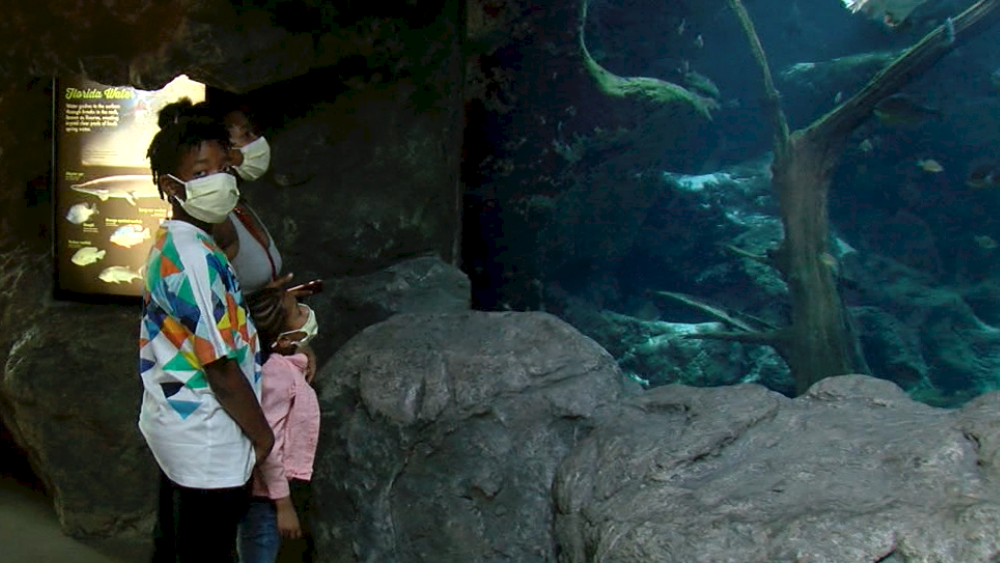 Florida Aquarium reopens with social distancing