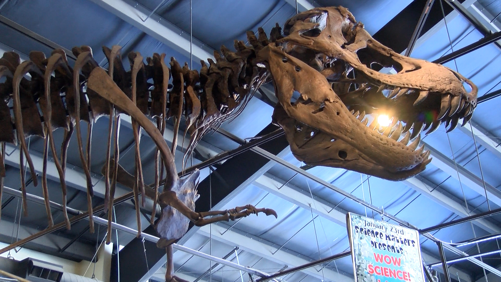 Rocky Mountain Dinosaur Resource Center