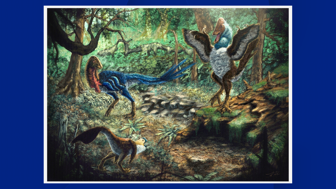 OSU-Tulsa student discovers new species of dinosaur