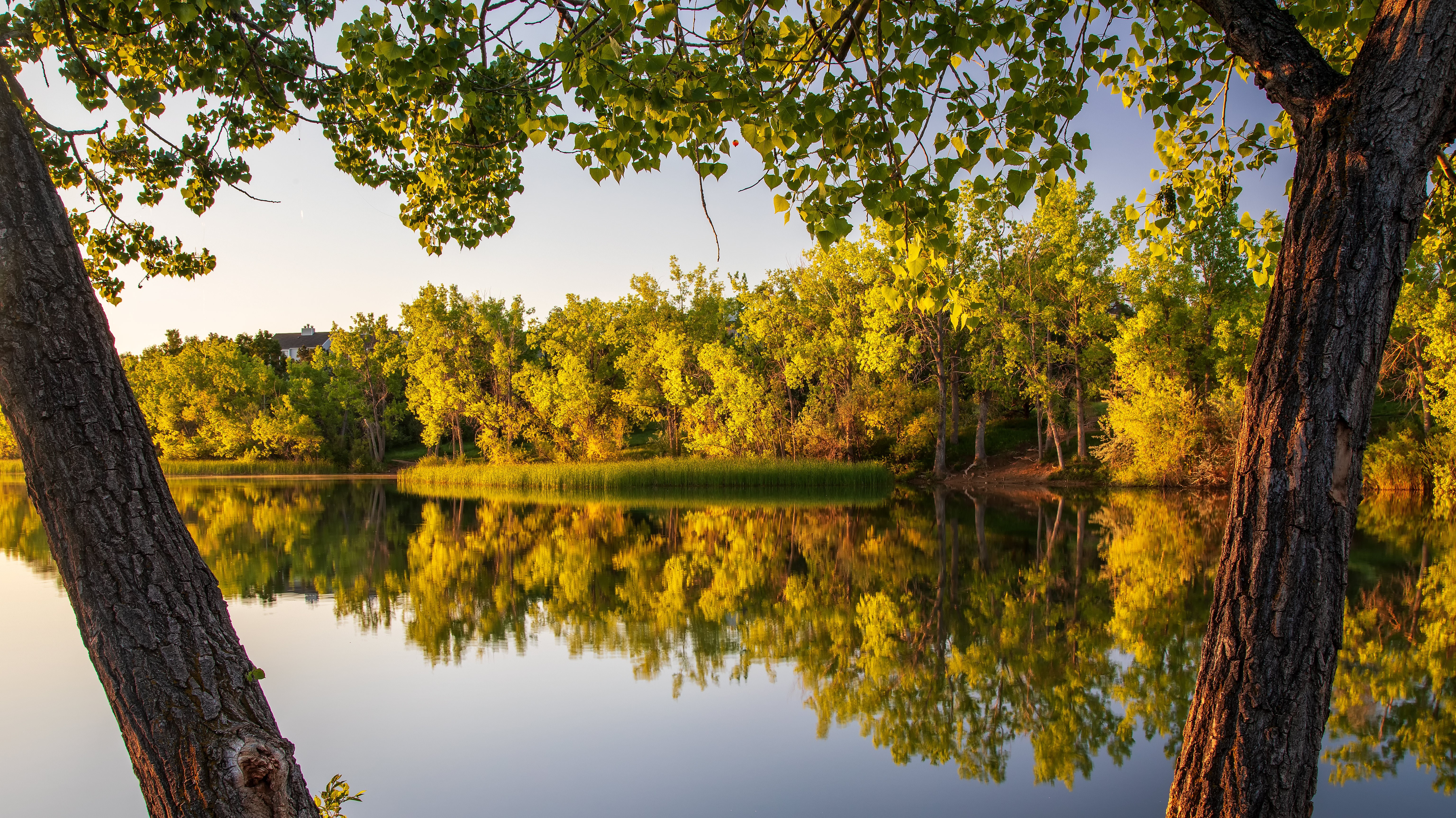 Quail Lake Sunday Bruce Hausknecht