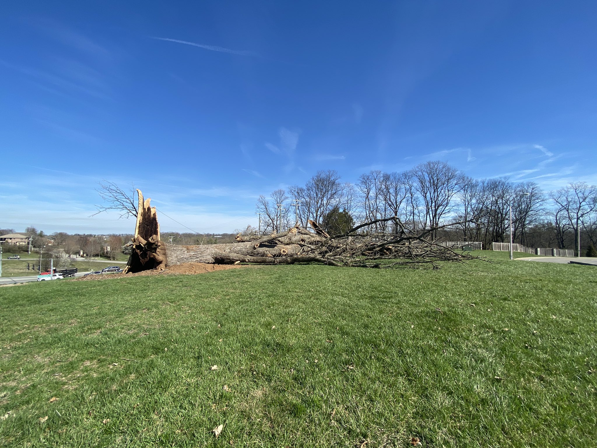 FqjCbFoXoAE_xVW.jfif