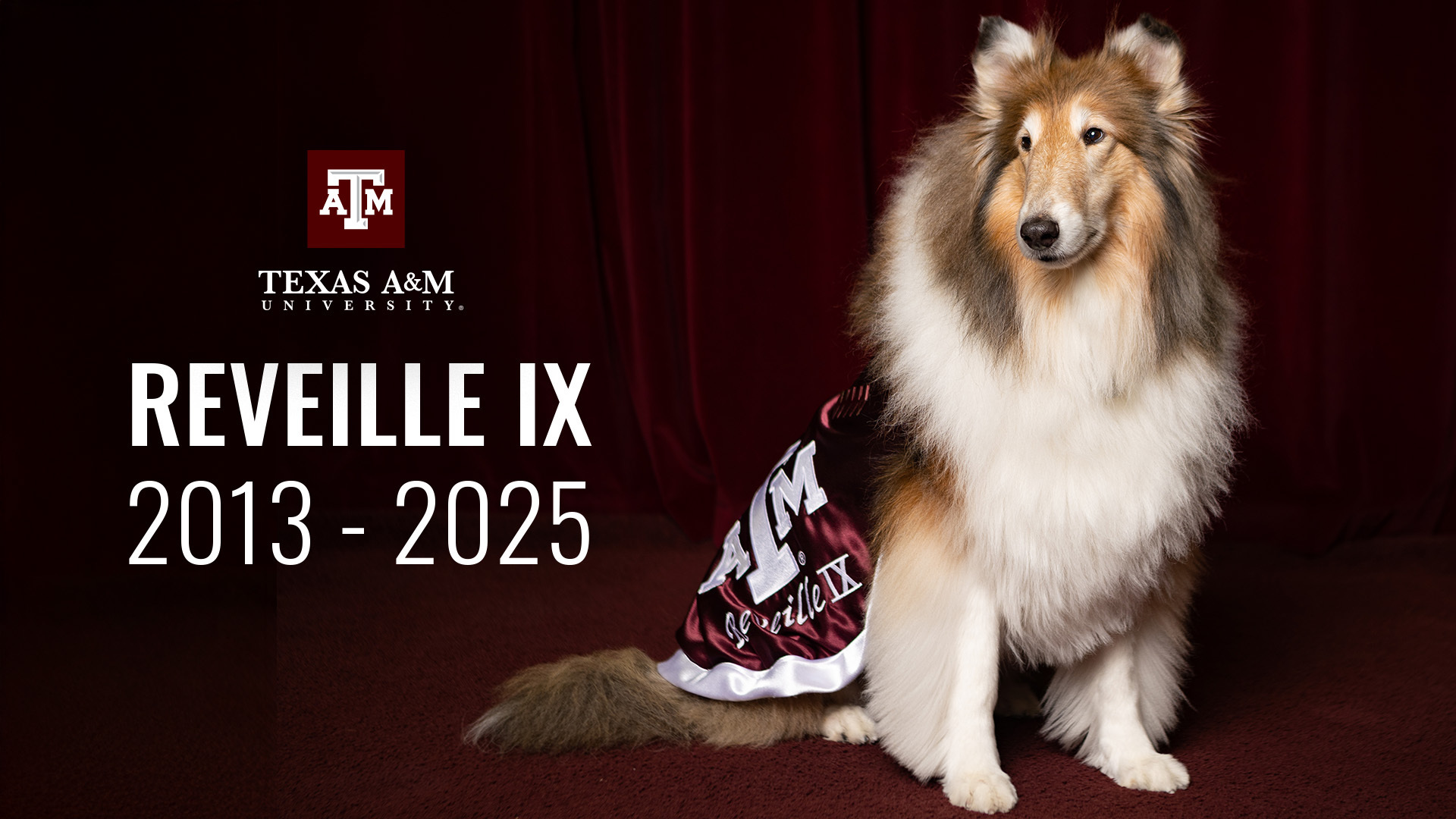 Reveille IX.jpg