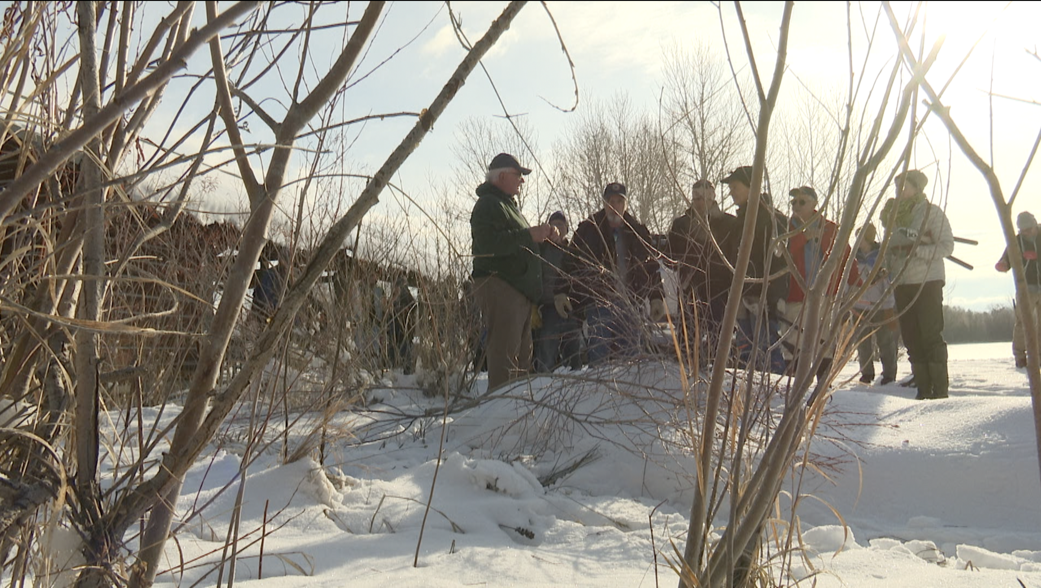 Volunteers cut willows to help fight erosion - Vimarsana News
