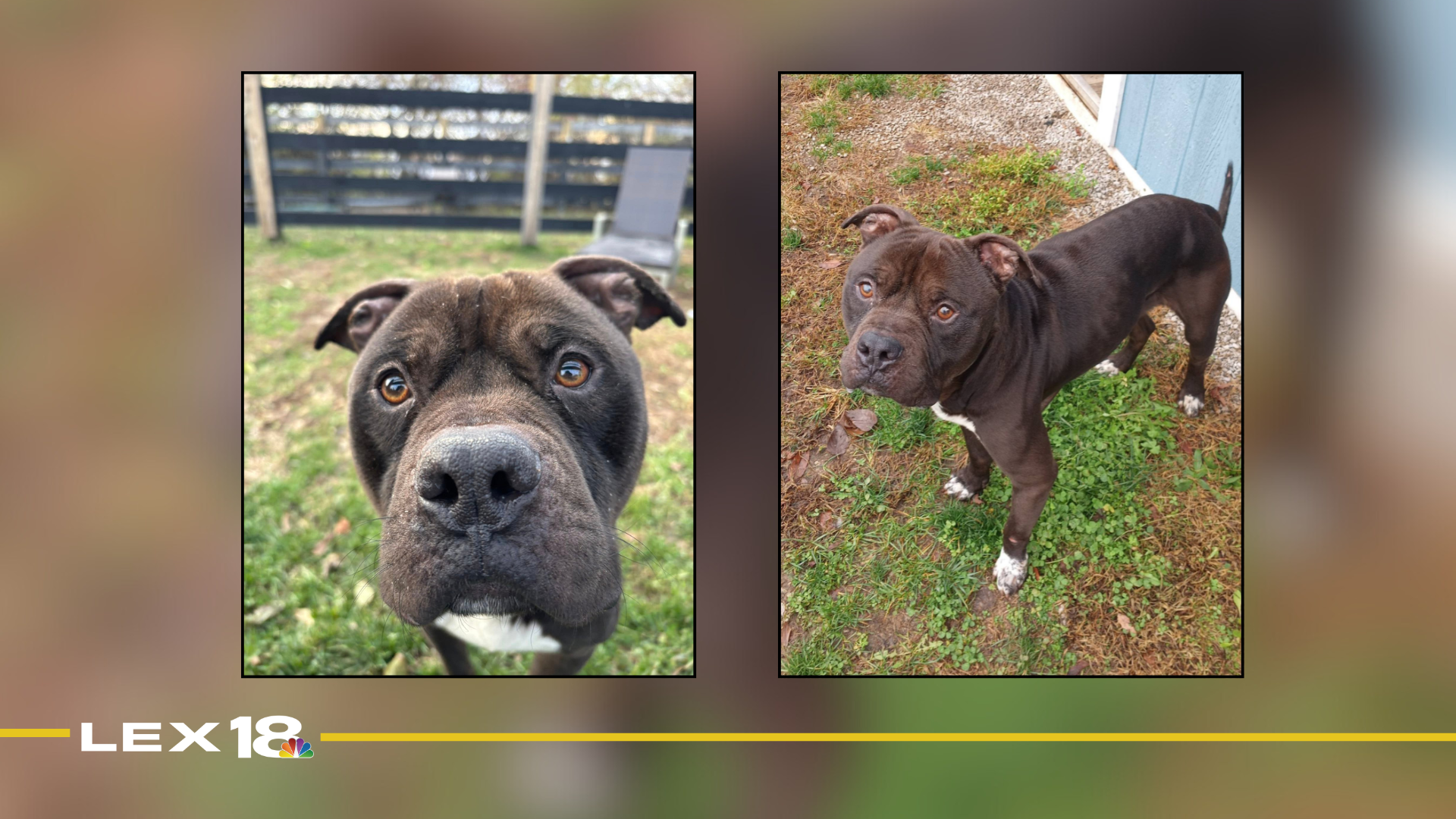 Featured Image Custom Edit (12).png