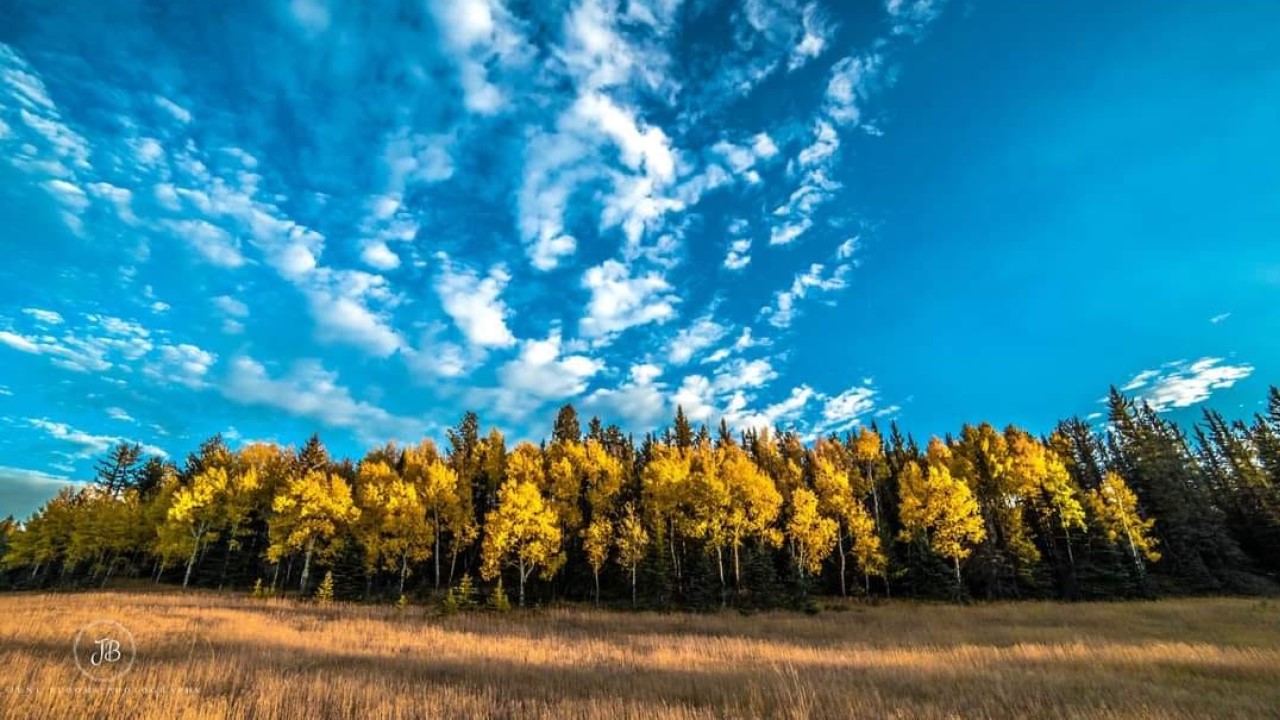 Beautiful fall colors