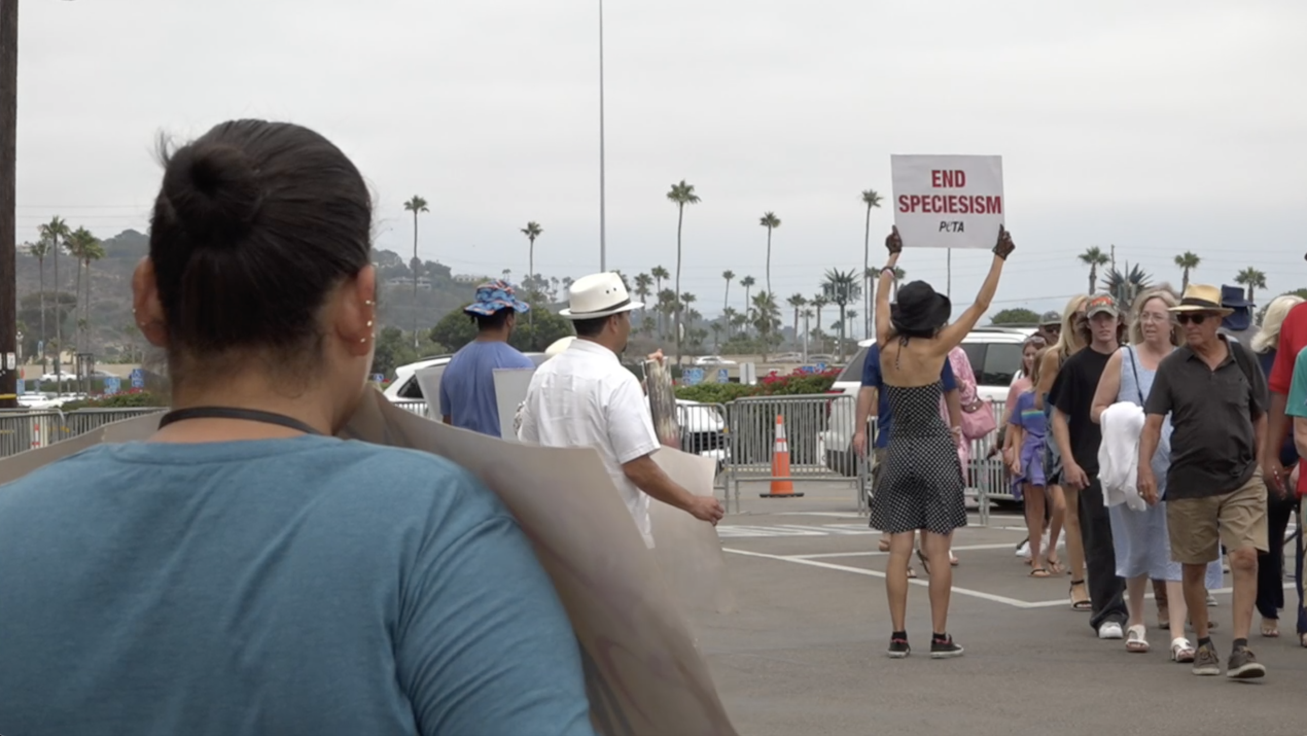 Del Mar racetrack protests