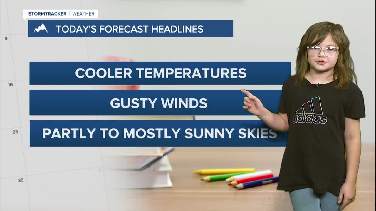 WX Rookie Nova 1-8-26