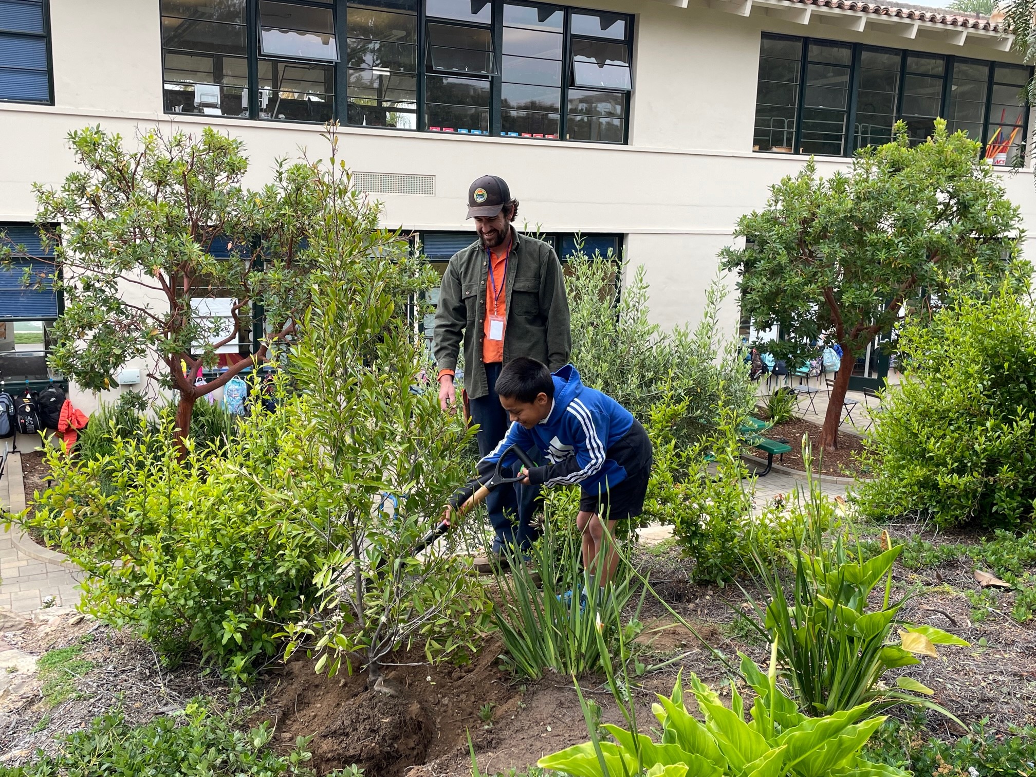 A second grade student shovels dirt onto a new Cherry laurel tree.jpg