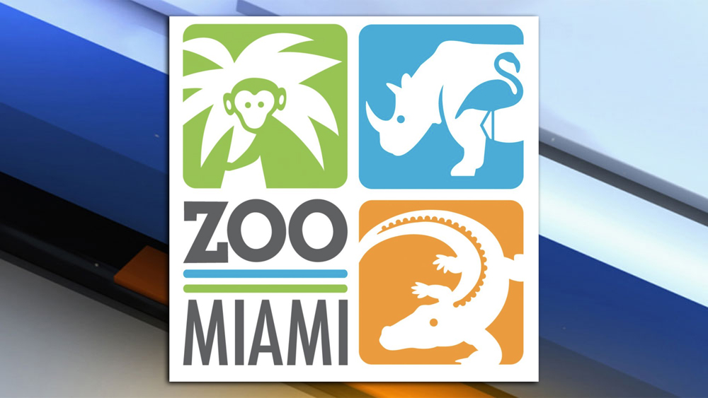 WPTV-ZOO-MIAMI-2.jpg