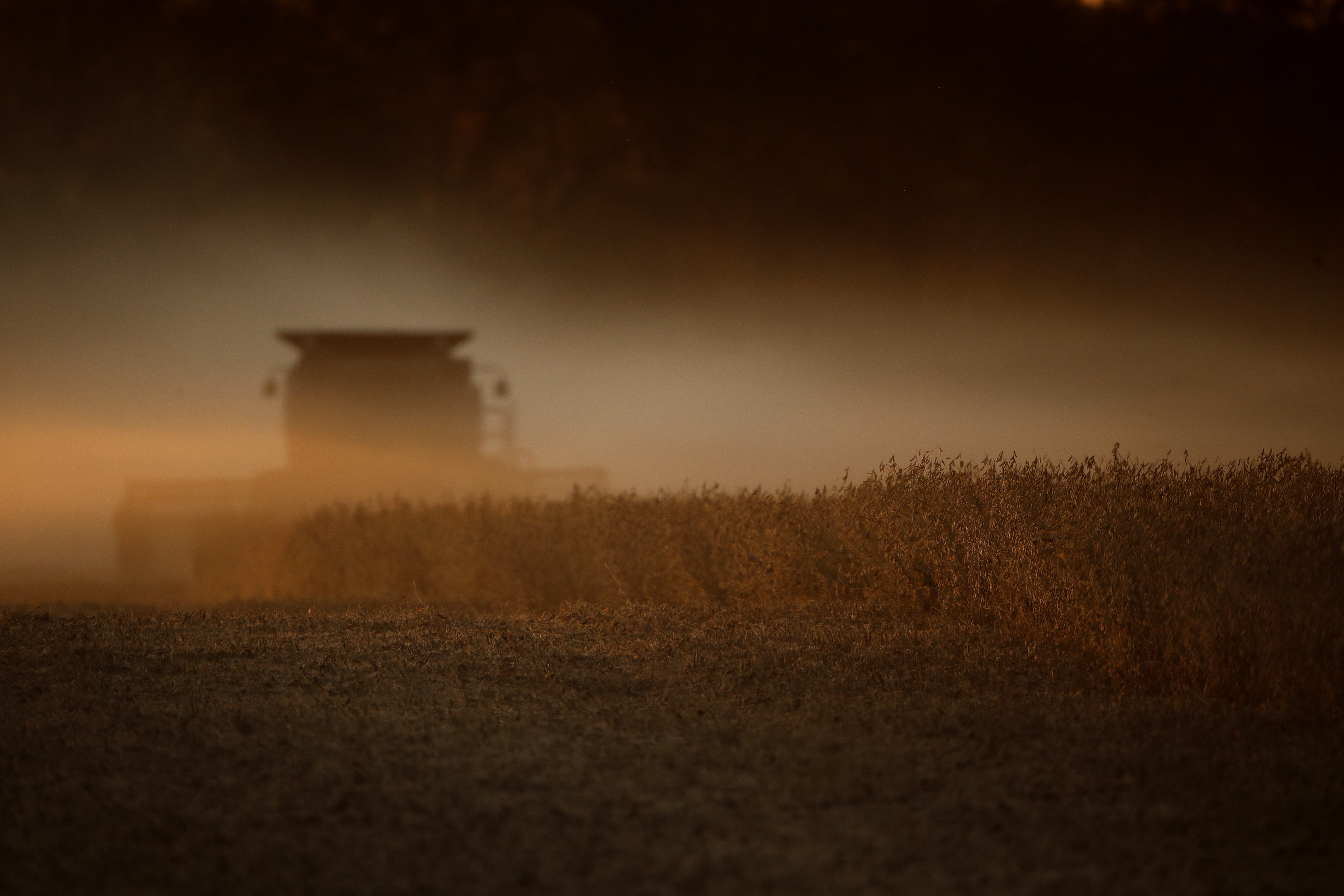 EPA Chlorpyrifos Ban