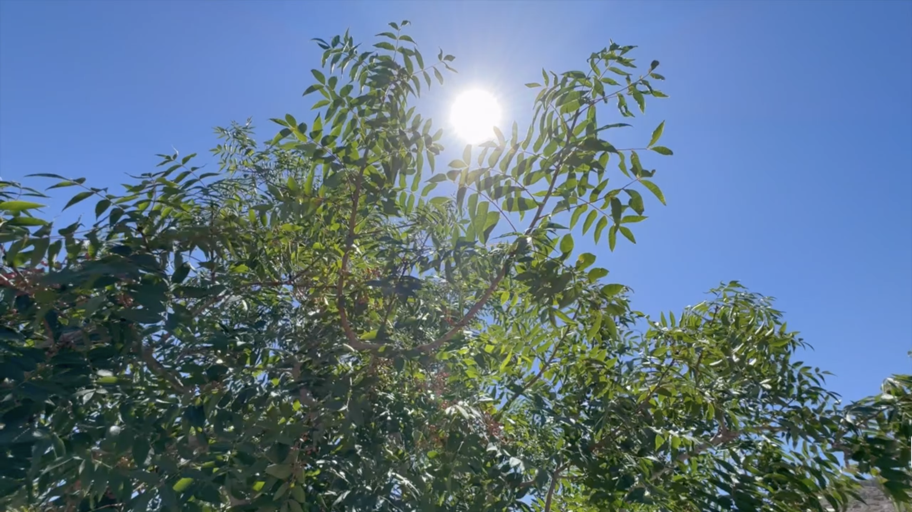 Heat, sun, generic file
