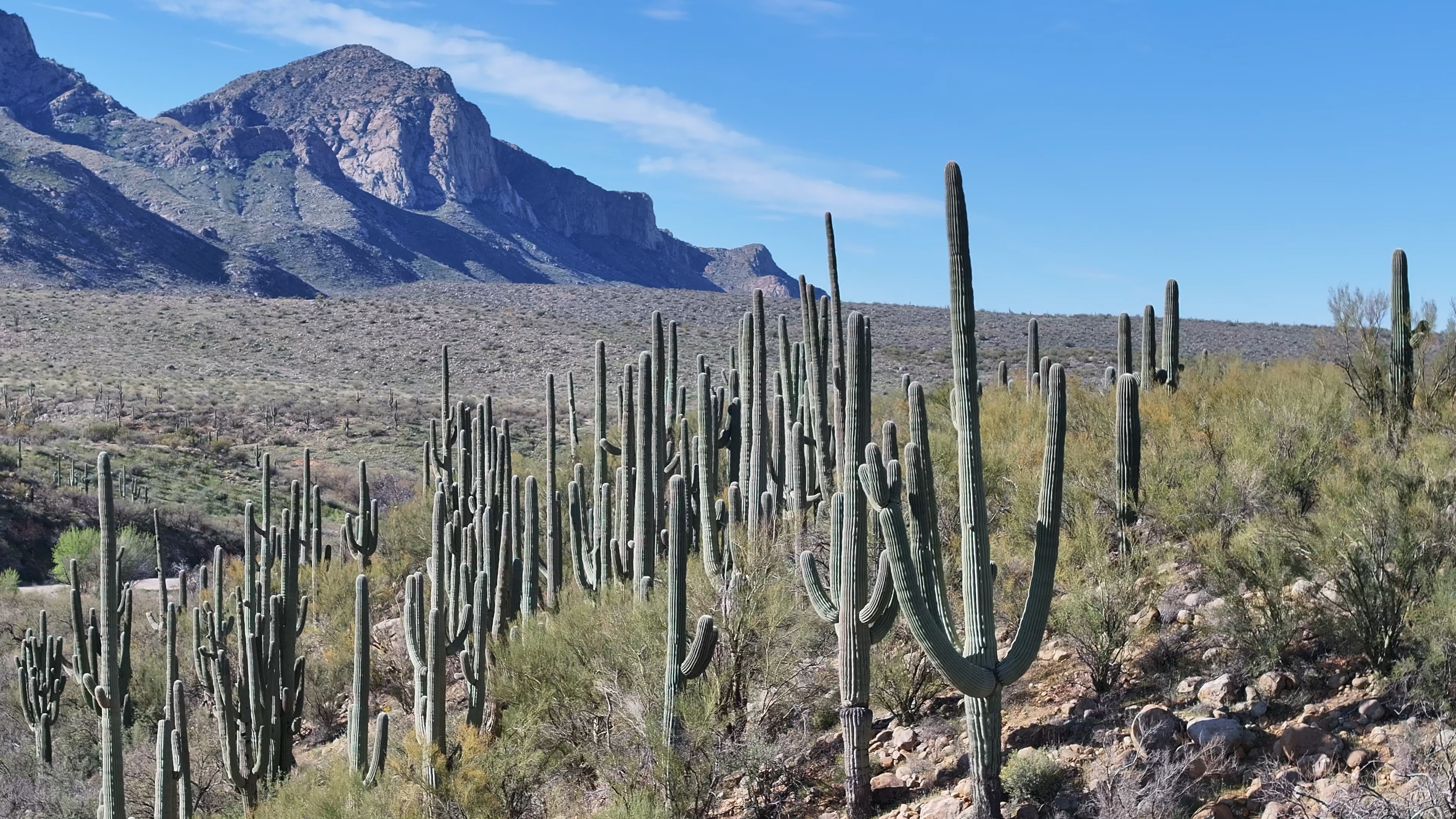 Catalina State Park.jpeg