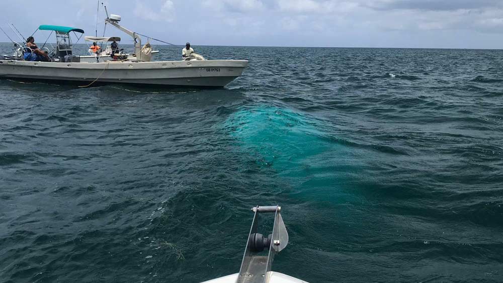 In this handout photo provided by the Bahamas ZNS Network, a recovery team stands by at the wreckage site where a helicopter carrying four women and three men, including billionaire coal entrepreneur Chris Cline and his daughter, crashed outside a string of islands Cline owned in the Bahamas, Friday, July 5, 2019. The bodies of the four women and three men were recovered and taken to the Bahamian capital of Nassau to be officially identified.