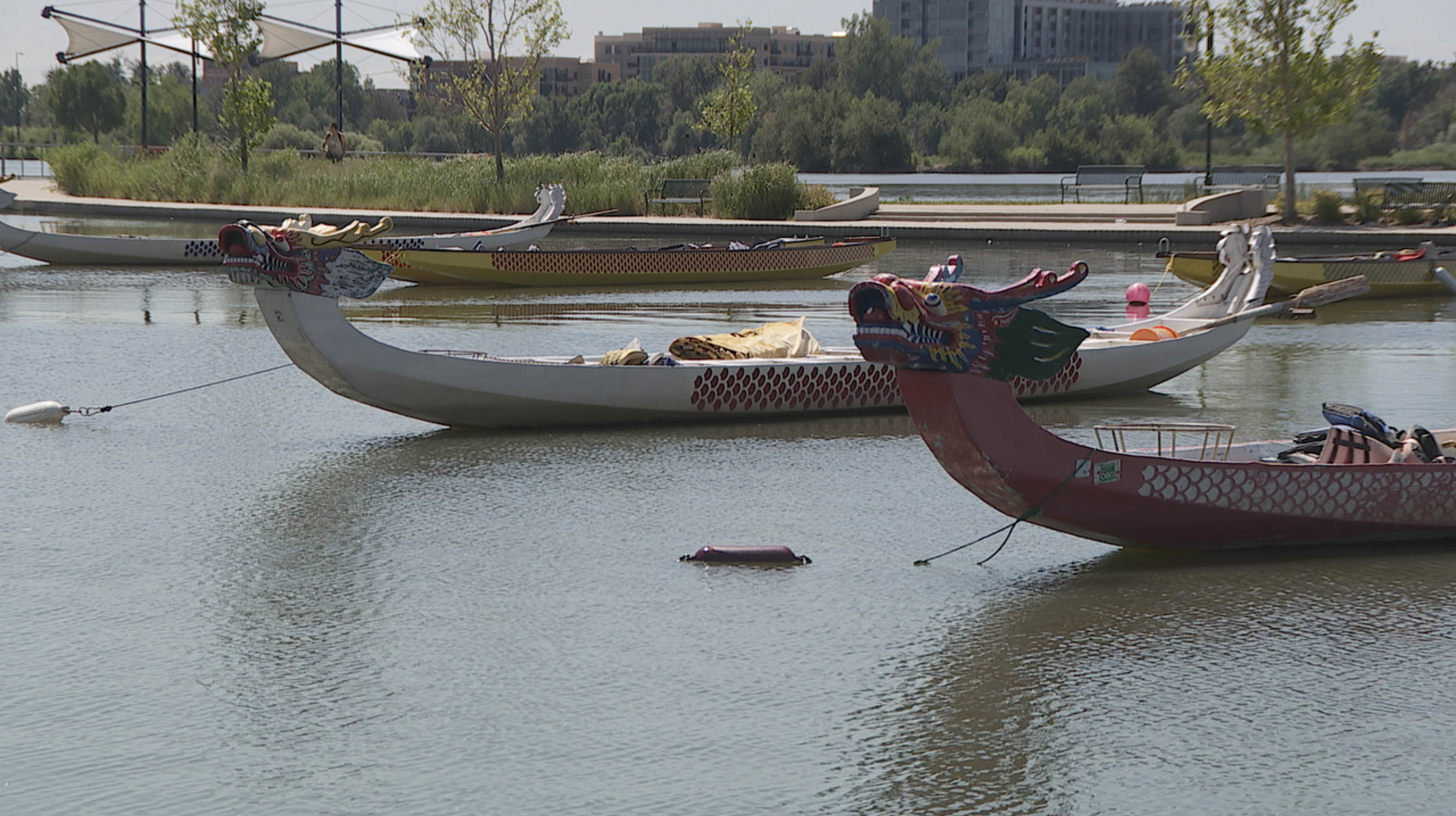 Colorado Dragon Boat Festival