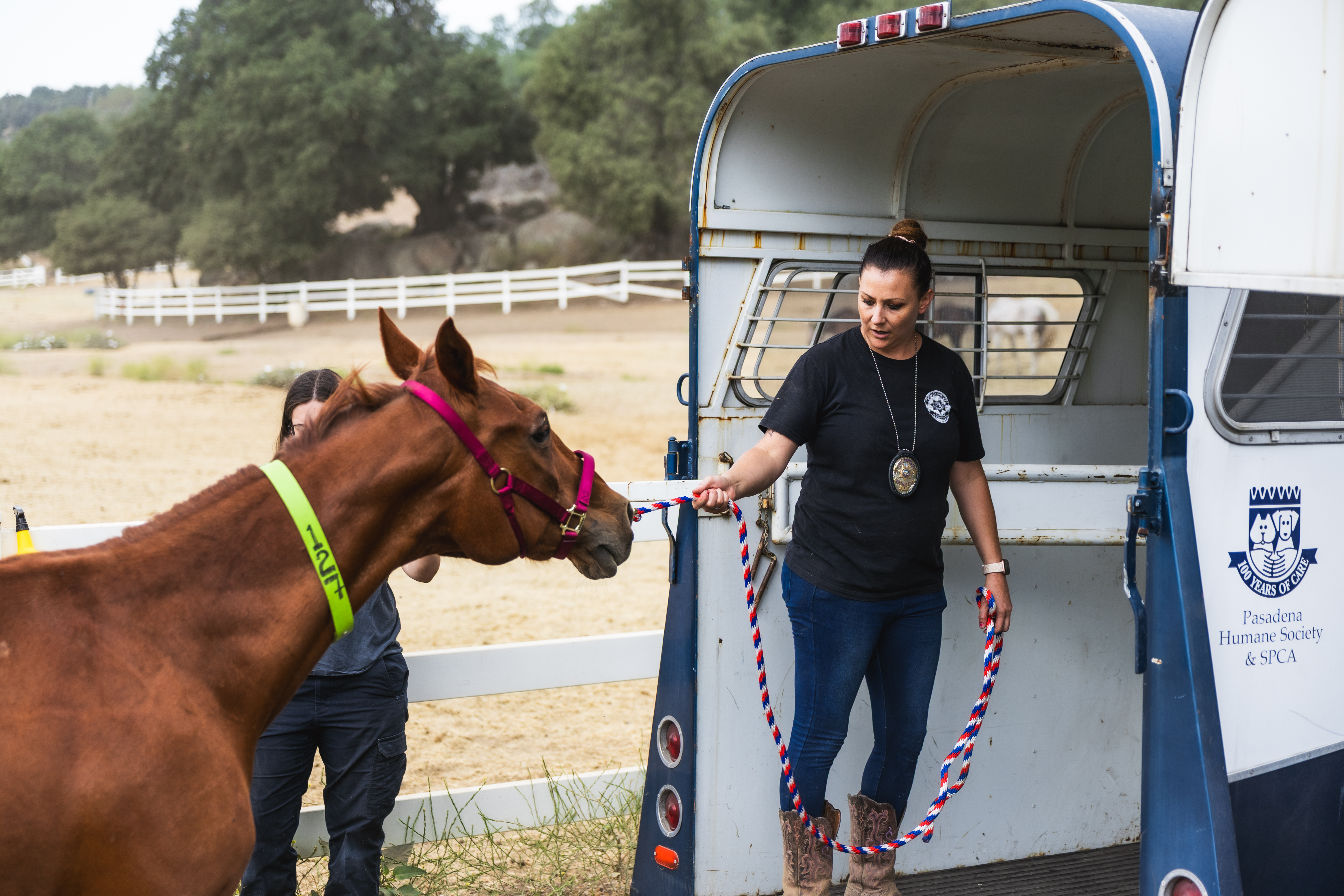 Horses Rescued from Julian 7/16/2026