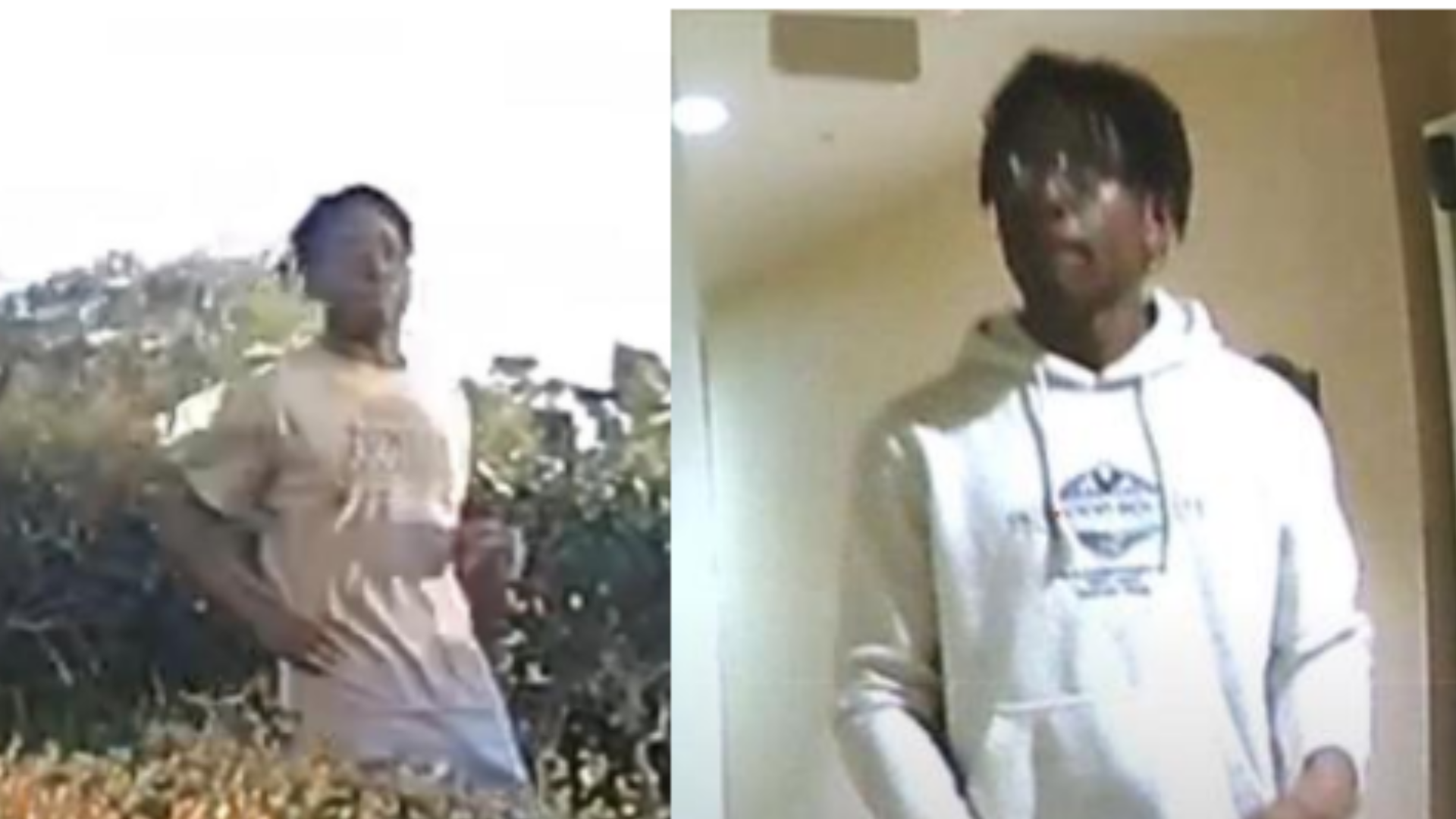 Sexual battery suspect at parks in La Jolla area